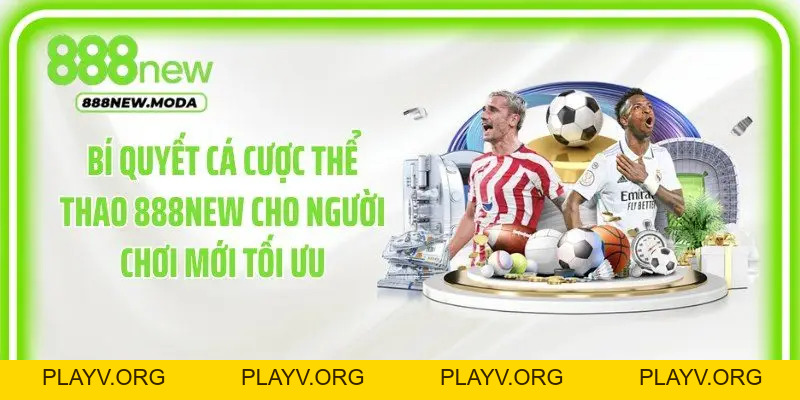 Thể Thao 888New: Bí Quyết Trải Nghiệm Cá Cược Đỉnh Cao - PLAYV.ORG