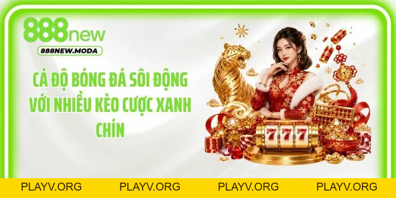 888New – Link Đăng Nhập 888New.com Uy Tín Mới Nhất 2026 - PLAYV.ORG