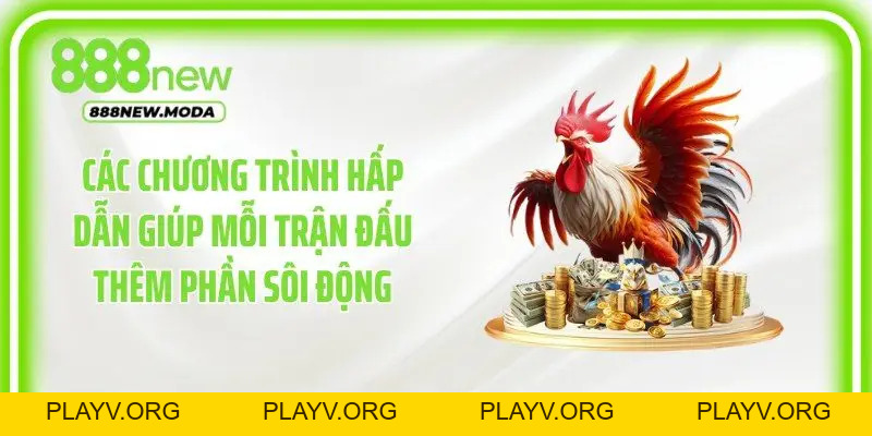 Đá Gà 888New - Cập Nhật Những Trận Đấu Kịch Tính Mỗi Ngày - PLAYV.ORG