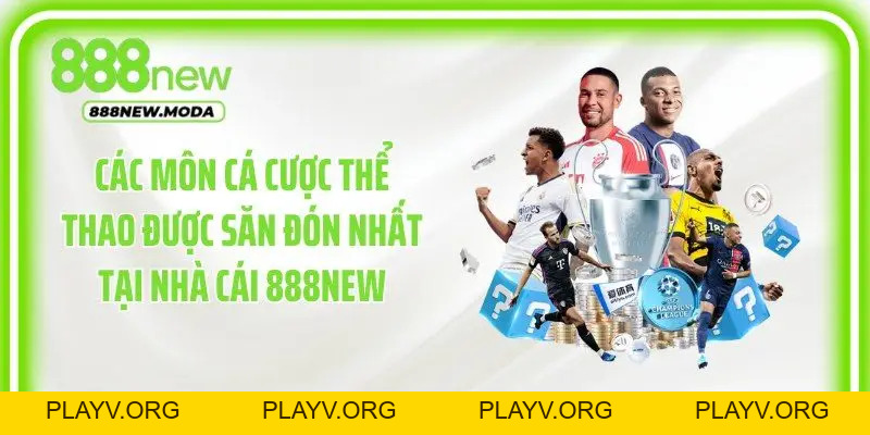 Thể Thao 888New: Bí Quyết Trải Nghiệm Cá Cược Đỉnh Cao - PLAYV.ORG