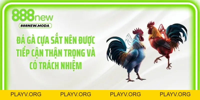 Đá Gà Cựa Sắt: Cách Theo Dõi Trận Đấu Trực Tuyến - PLAYV.ORG