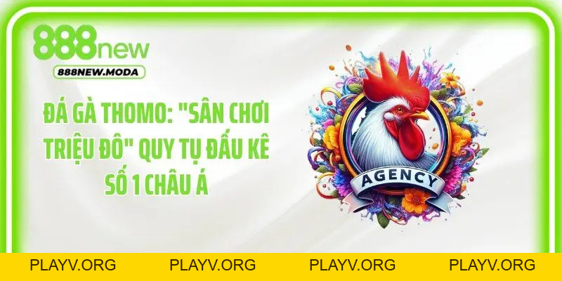 Đá Gà 888New - Cập Nhật Những Trận Đấu Kịch Tính Mỗi Ngày - PLAYV.ORG