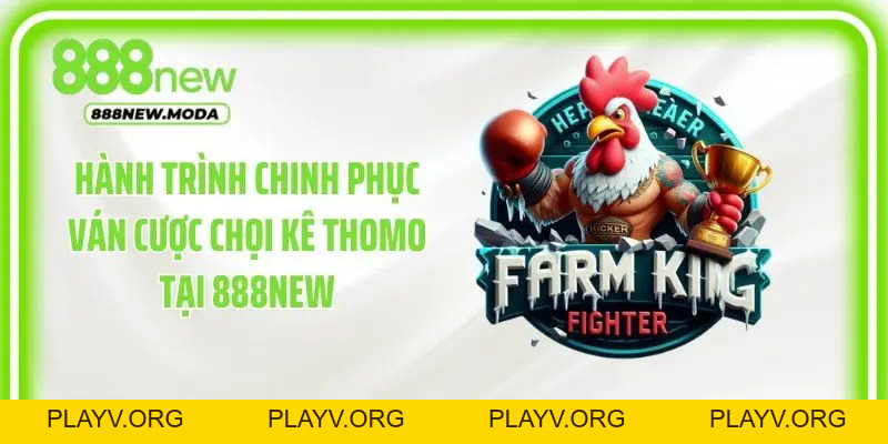 Đá Gà Thomo: